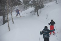 Corso di Sci – Febbraio 2014 – 4/82