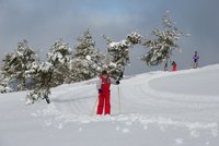 Corso di Sci – Febbraio 2014 – 18/82