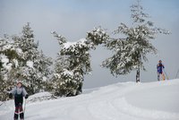 Corso di Sci – Febbraio 2014 – 19/82