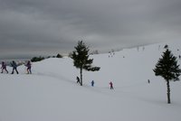 Corso di Sci – Febbraio 2014 – 36/82