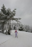 Corso di Sci – Febbraio 2014 – 58/82