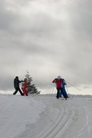 Corso di Sci – Febbraio 2014 – 70/82