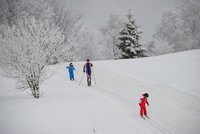 Corso di Sci – Febbraio 2014 – 78/82