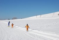 Corso di Sci – Gennaio 2013 – 10/18