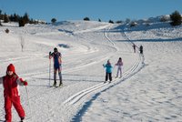 Corso di Sci – Gennaio 2014 – 11/22