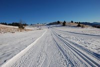 Corso di Sci – Gennaio 2015 – 2/64