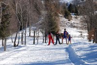 Corso di Sci – Gennaio 2015 – 23/64