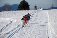 Corso di Sci – Gennaio 2015 – 33/64