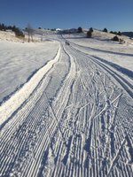 Corso di Sci – Gennaio 2015 – 49/64