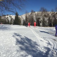 Corso di Sci – Gennaio 2015 – 62/64